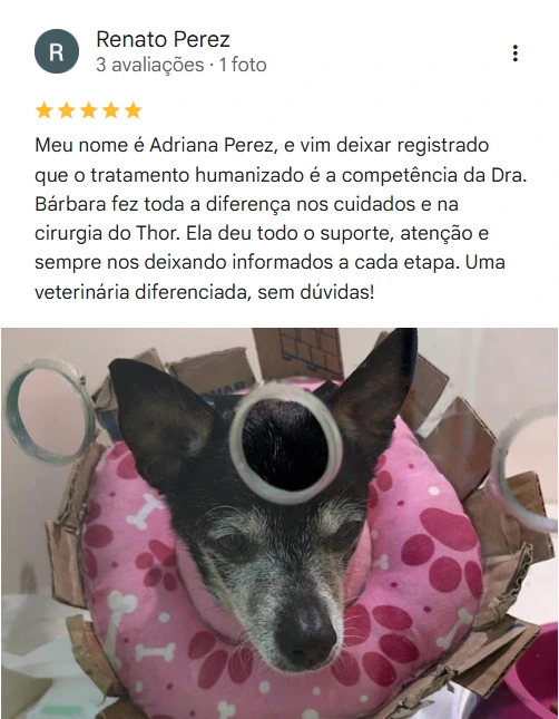 Avaliação 5