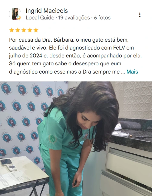Avaliação 6